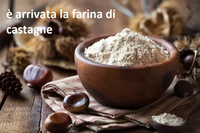 Farina Integrale  Le Delizie del Grano